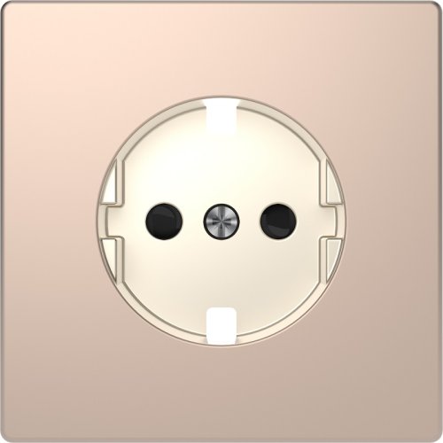 Лицевая панель Schneider Electric Merten D-Life для 1-м. розетки 220Вт шампань картинка